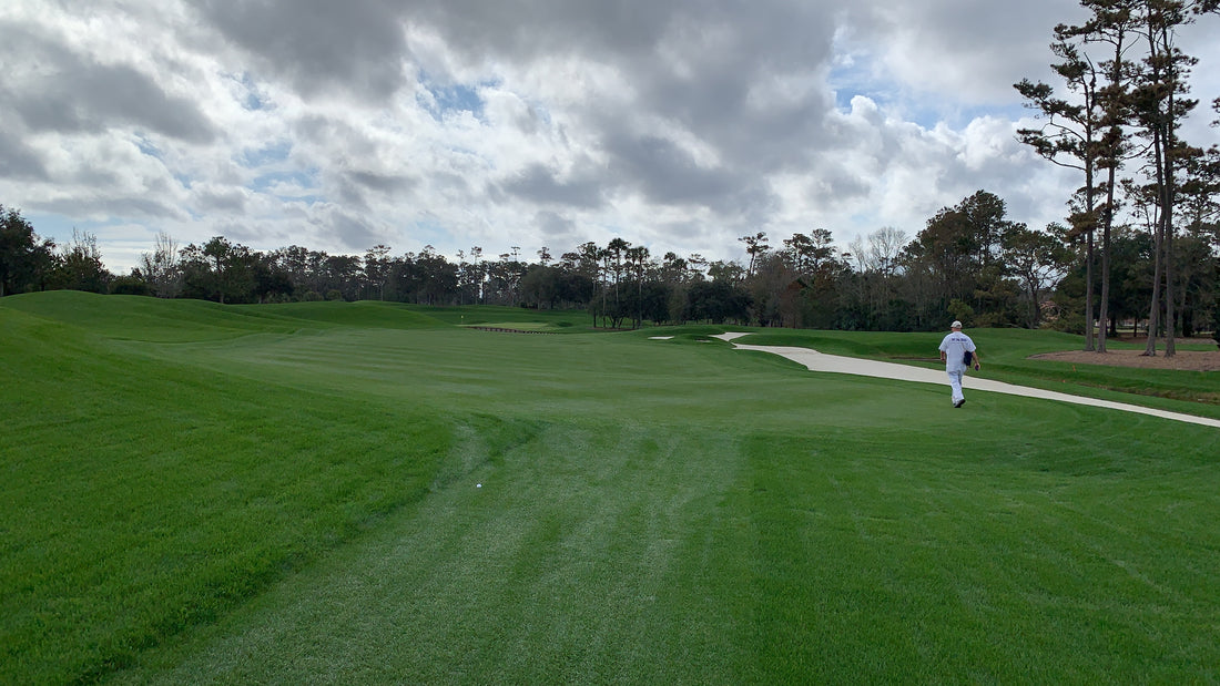 Dreaming of a Golfcation?