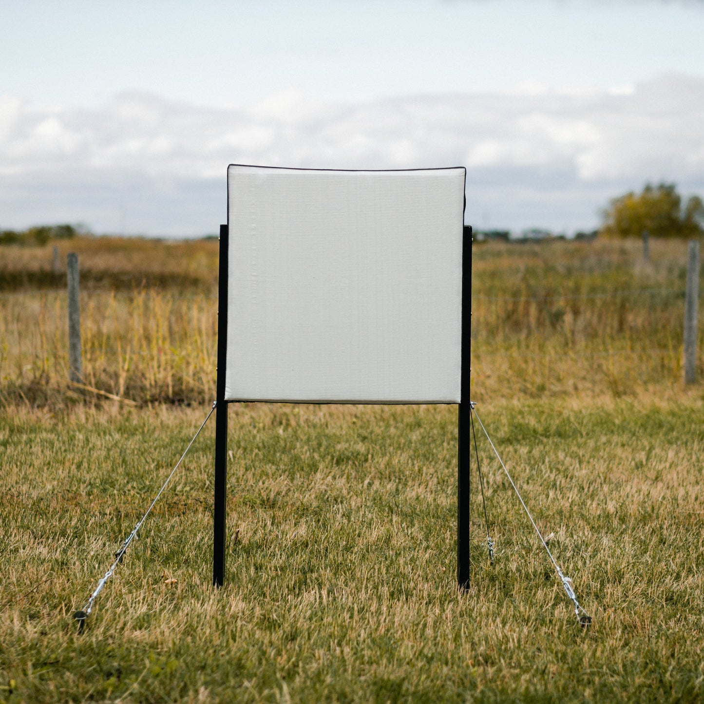 Bulldog Targets Archery Target NEW PLUS Series Bulldog RangeDog PLUS Archery Target With Outdoor Stand