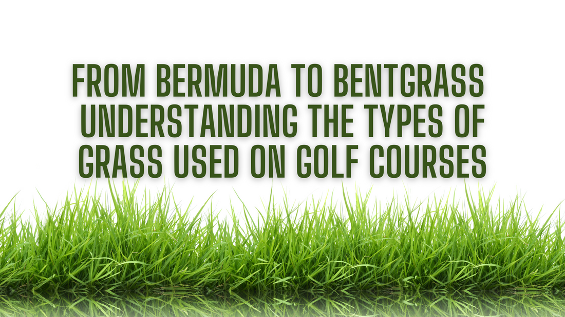 From Bermuda to Bentgrass: Understanding the Types of Grass Used on Golf Courses
