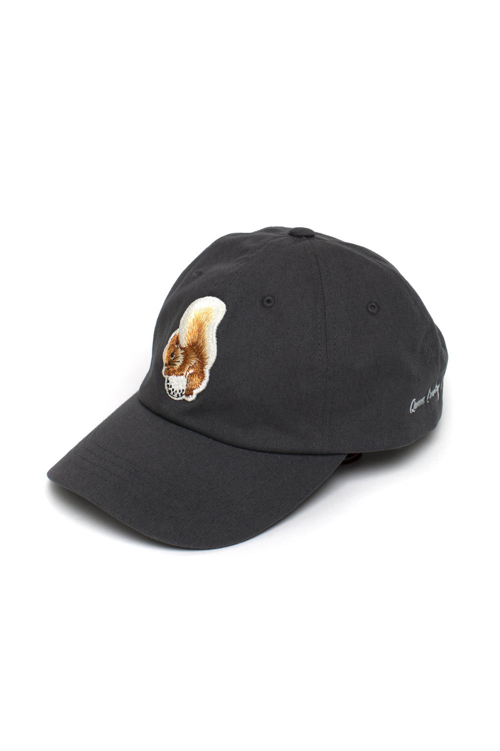 Dad Hat with Squirrel Patch by Queens Country Club