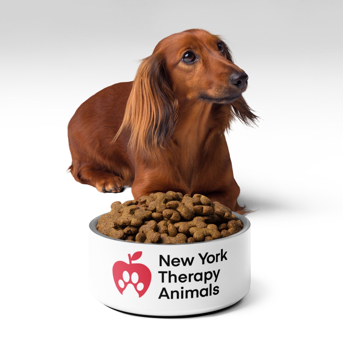 NYTA Pet bowl